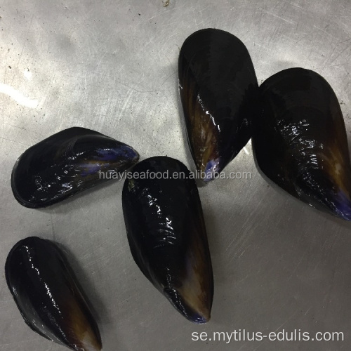frysta kokta hela musslor pris skaldjursmusslor